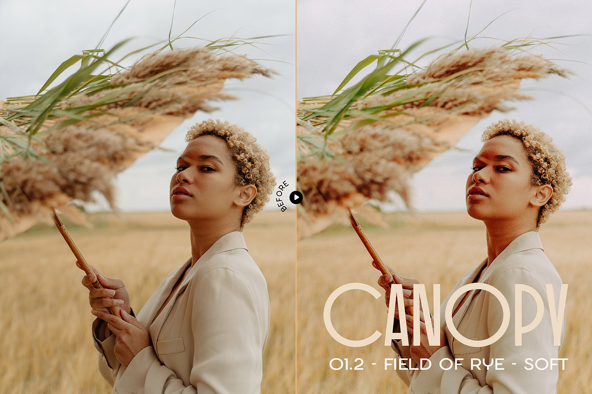 Canopy - Earthy Lightroom Presets, an Action Add-On by Presetrain Co. (Photo 2 of 8)