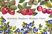 Berries, a Food Illustration by Jeanna Draw (Thumbnail 1 of 12)