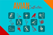 (Avian) Birds Vector Illustrations, an Animal Illustration by Rasgood (Thumbnail 3 of 8)