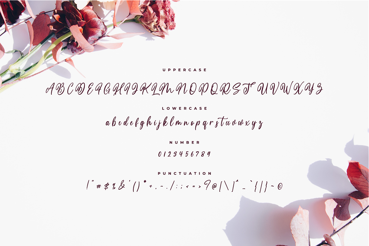 Medalion Calligraphy Font preview 7