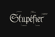 ED Vitinia, a Blackletter Font by Emyself Design (Thumbnail 9 of 10)