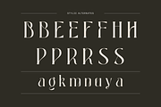 Luxury Logo Font - Bageki, a Serif Font by Nirmana Visual (Thumbnail 5 of 9)