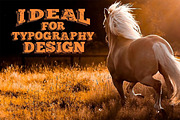 Left Behind Vintage Font, a Slab Serif Font by Vintage Font Lab (Thumbnail 4 of 4)
