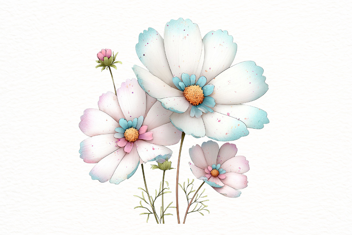 Spring wildflower clipart, an Illustration by Designworld (Photo 7 of 8)