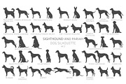 Sighthound and Pariah dog Silhouette, an Animal Illustration by pet design shop (Thumbnail 5 of 9)