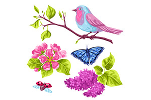 Spring Garden Set Of Objects. Natural Illustration With Blossom Flower, Robin Birdie And Butterfly