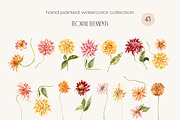 Dahlia Watercolor Collection, a Decorative Illustration by ArtMaslyana (Thumbnail 2 of 15)