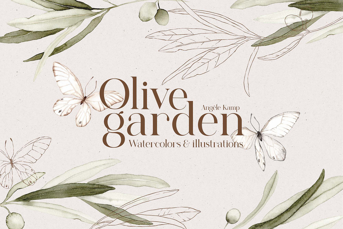 Olive garden watercolors clipart, an Object Graphic by Angele Kamp (Photo 1 of 9)