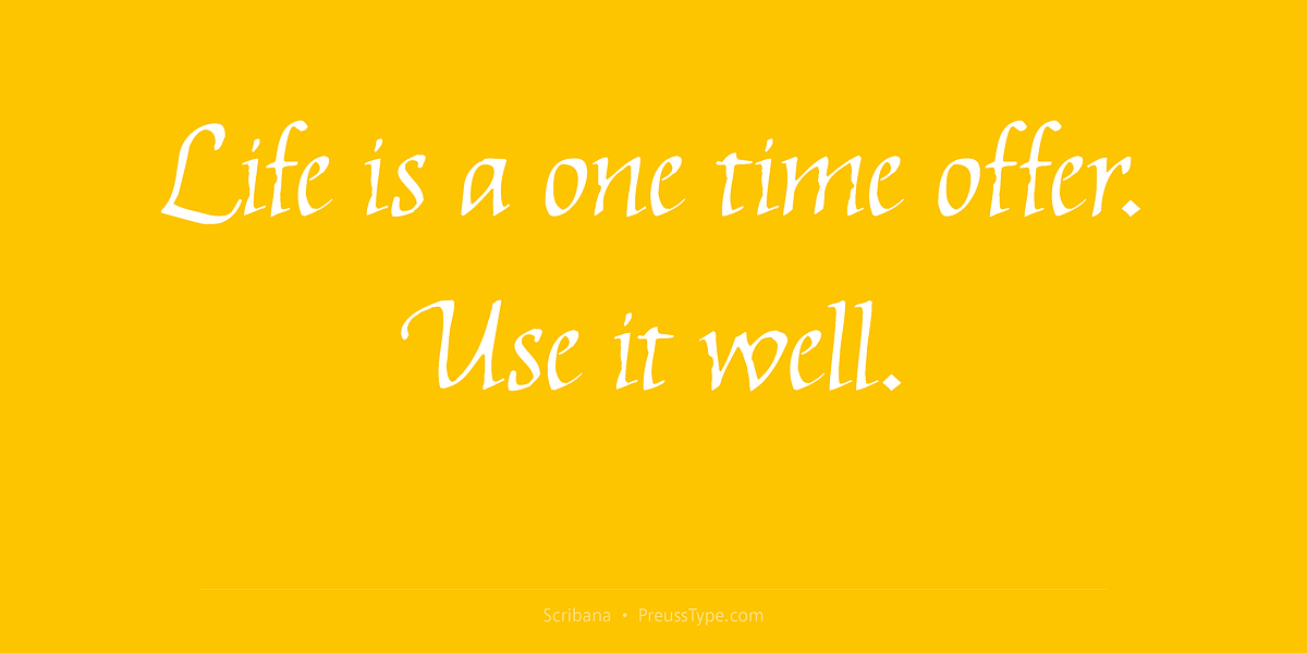 Scribana, a Script Font by preussTYPE (Photo 5 of 8)