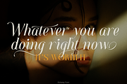 Dolemy Classic Script Font, a Script Font by TypeClassHeroes (Thumbnail 8 of 10)