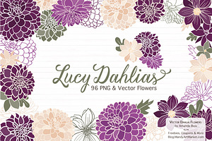 Plum Purple Dahlia Flowers, an Illustration by Amanda Ilkov