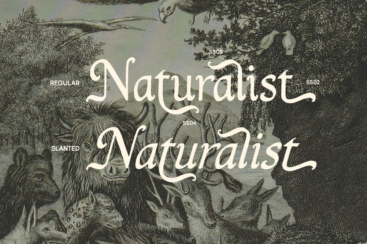 Mythgrove Medieval Display Font, a Serif Font by Letterhend Studio (Photo 6 of 9)