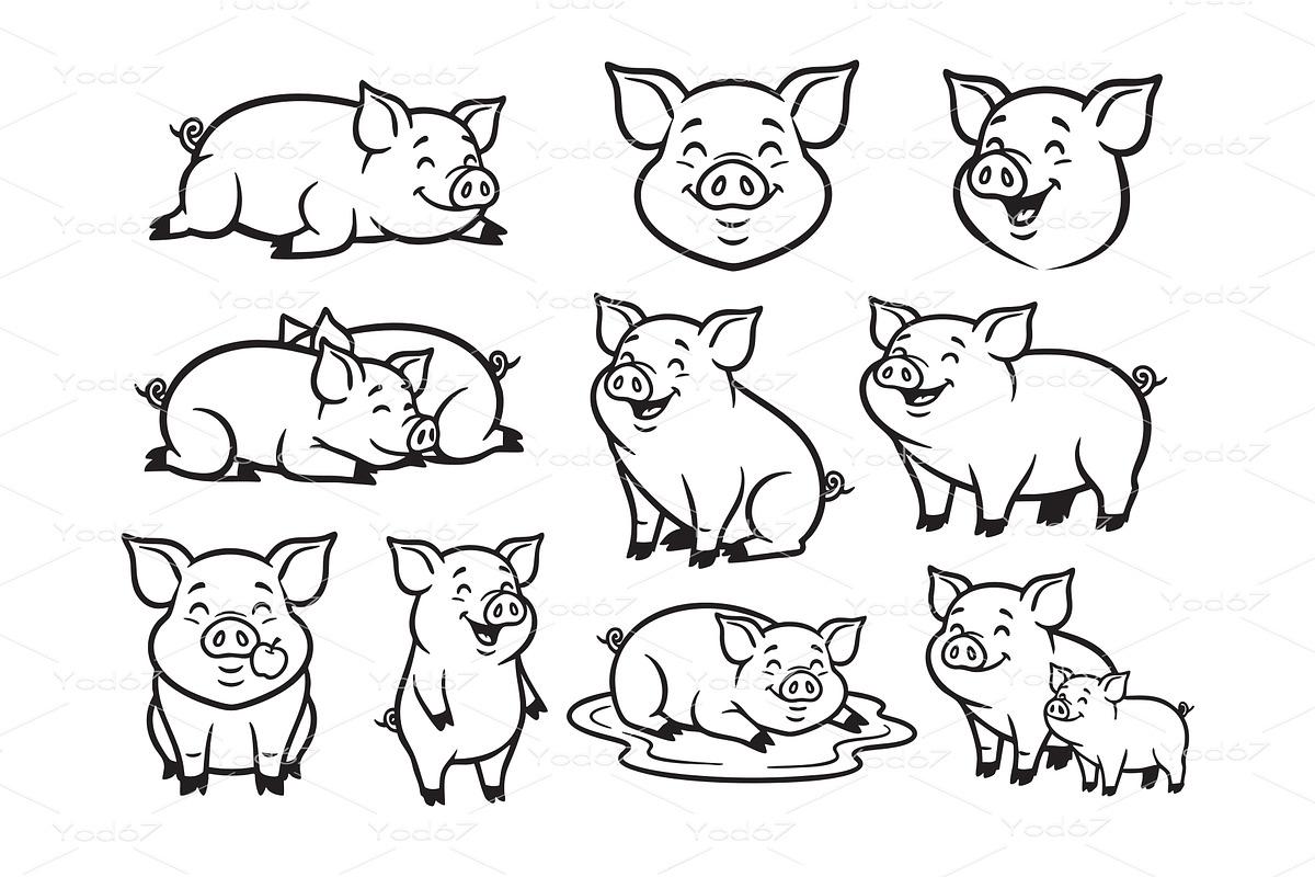 Vector of pig characters in various, an Animal Illustration by yod67