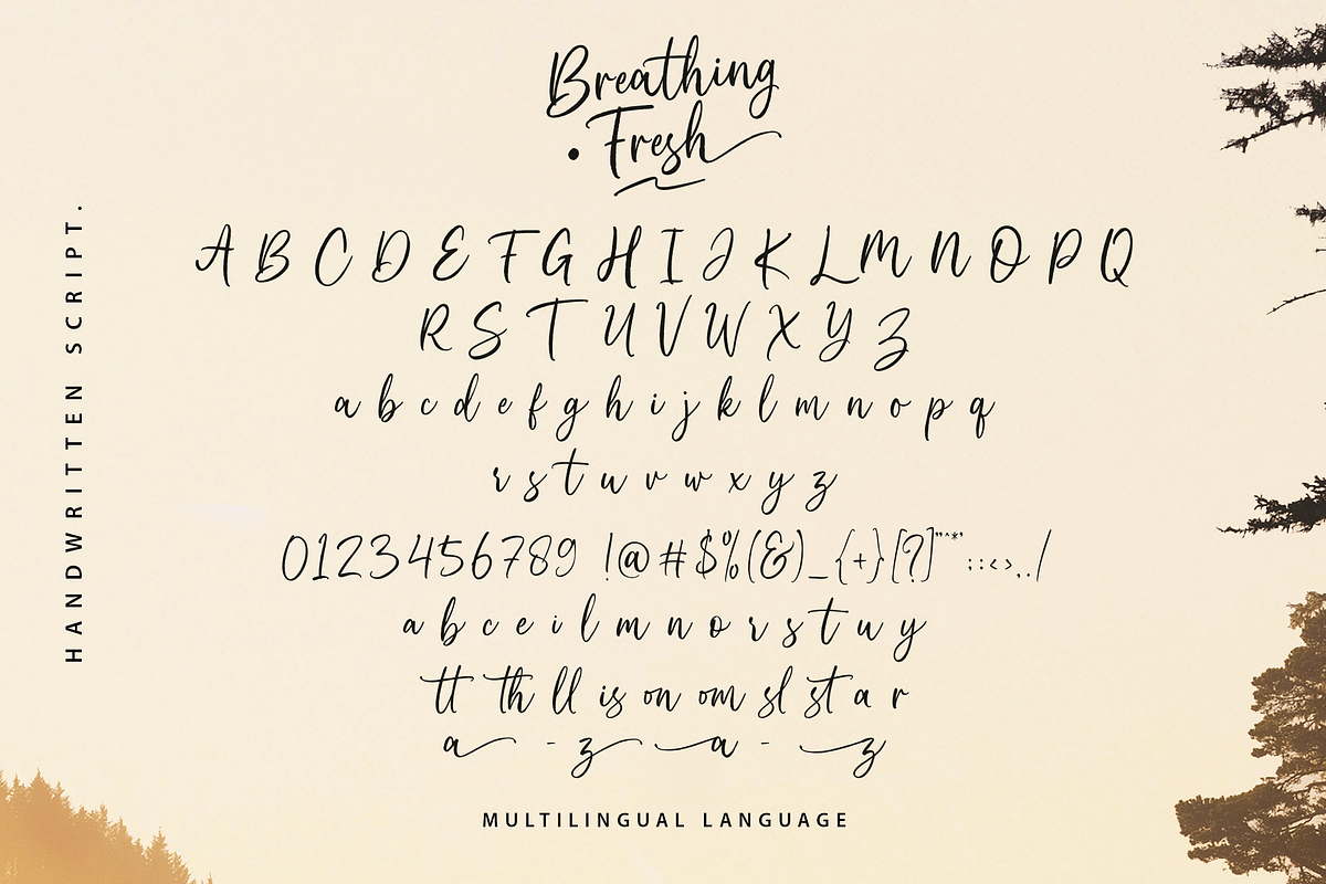 Breathing Fresh Script, a Script Font by sizimon (Photo 10 of 10)