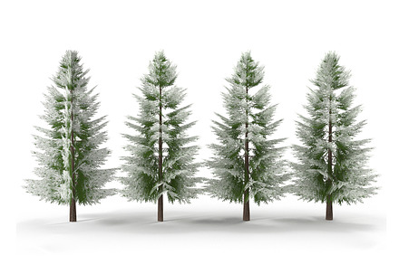 Canadian Spruce Tree Snow V2