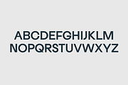 Hanno Mid Century Modern Sans Serif, a Sans Serif Font by That That Creative (Thumbnail 3 of 12)