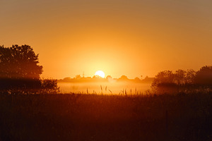 Bright sun rising over misty field with tree silhouettes at dawn. Golden sunris, a Nature Photo by Rohan Photography