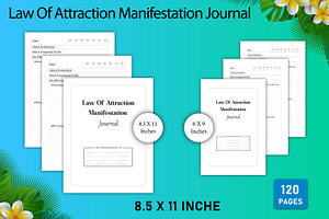 Law Of Attraction Manifestation