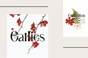 Gallies Ligature Serif Typeface, a Serif Font by Humaira_std (Thumbnail 4 of 9)
