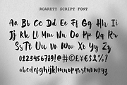 Roarety - Rough Script Font, a Font by Haps Space (Thumbnail 7 of 8)