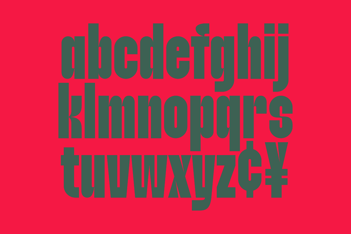 Wishnut - Duo Display Font, a Sans Serif Font by Marvadesign (Photo 13 of 13)