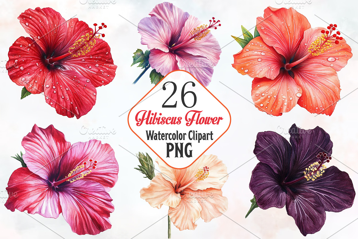 Hibiscus Flower Watercolor ClipArt's, an Illustration by RobertsArt (Photo 1 of 7)
