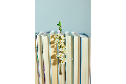 Stack of books with branch flowers, a School & Education Photo by IlliaBondarPhotography