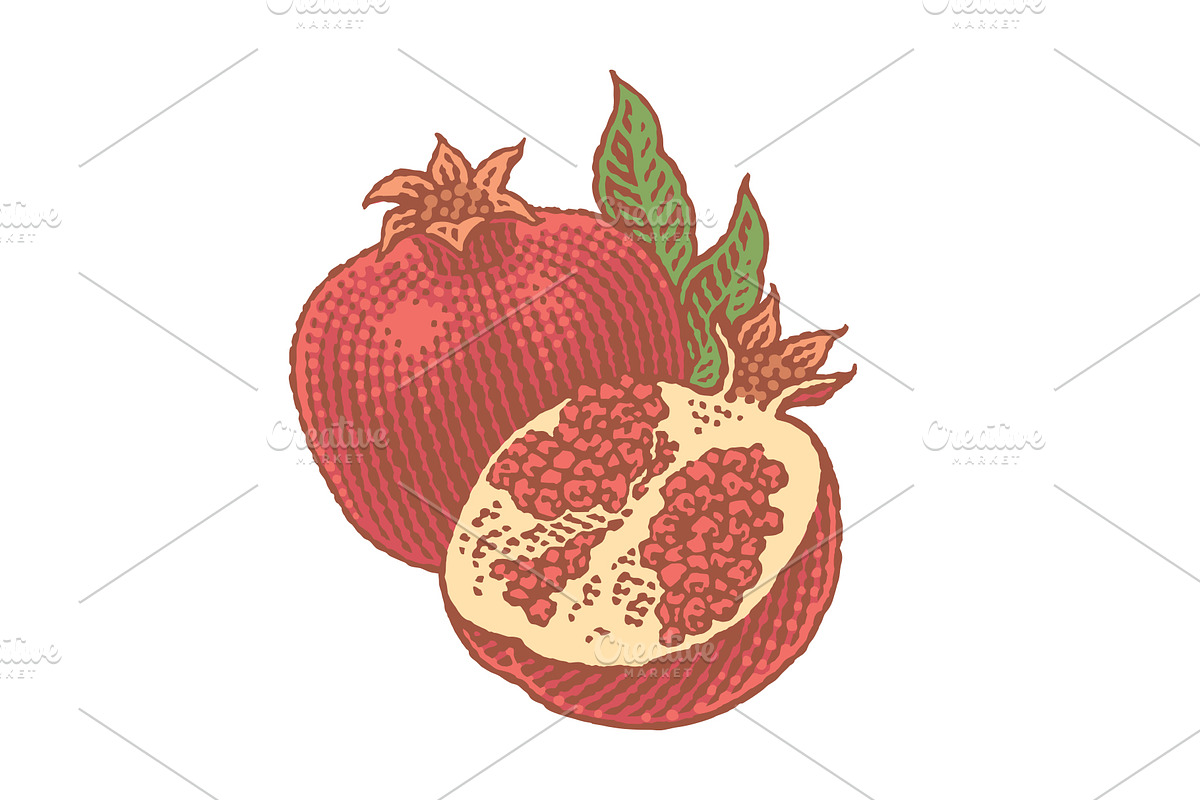 Pomegranate, a Food Illustration by Irina Trusova (Photo 3 of 3)