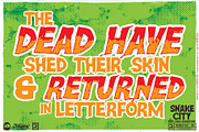 Snake City - Layered Font, a Script Font by Remedy667 (Thumbnail 2 of 9)
