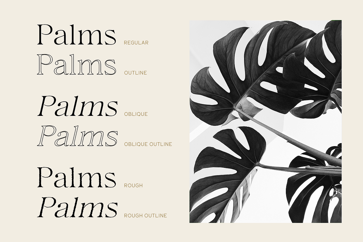 Hermitage, a Serif Font by Larin Type Co. (Photo 3 of 12)