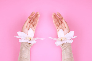Female hands with delicate white flowers on a pink background, a Person Photo by ndanko