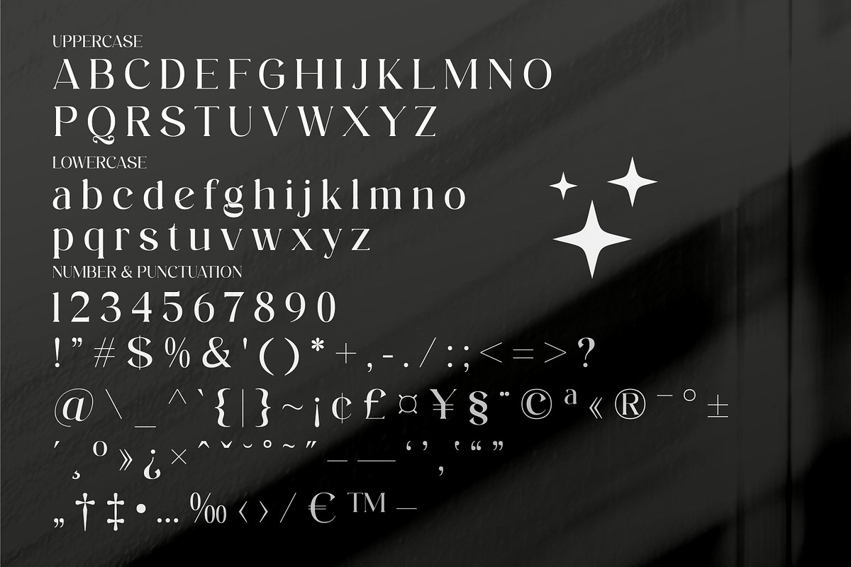 Aftesto Unique Serif Font, a Serif Font by Storytype Studio (Photo 7 of 9)