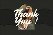 Authentic Calisttera Script Font LS, a Script Font by GranzCreative (Thumbnail 11 of 12)