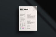 Professional Resume Template, a Resume Template by slidestock55 (Thumbnail 2 of 4)
