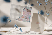 Blue Bloom Paper Mockup Collection, a Product Mockup by NikiArts (Thumbnail 12 of 13)