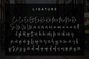 Intelligent Signature, a Script Font by Anatadesign (Thumbnail 12 of 13)