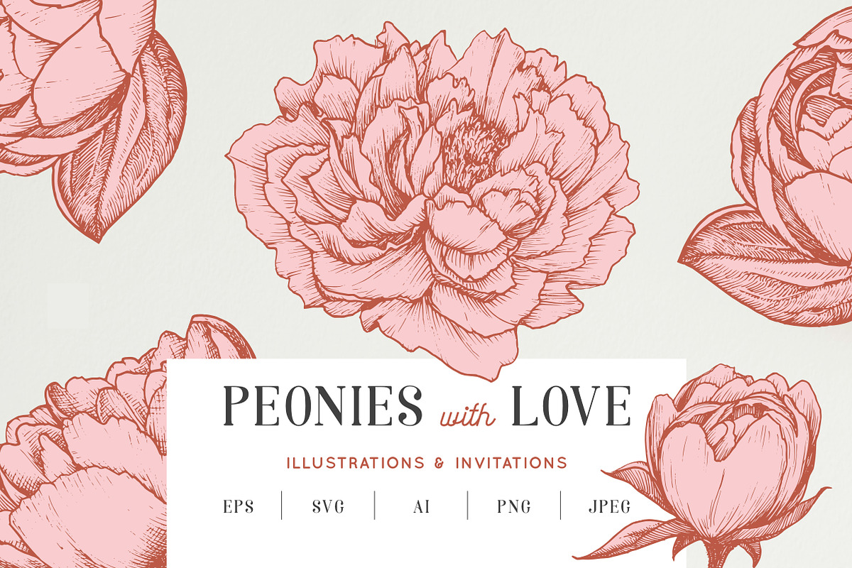 Peony illustrations | invitations, an Illustration by Chewie Co (Photo 1 of 13)