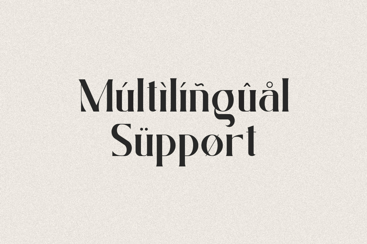 Badger Glance - Modern Serif Font, a Serif Font by Heinzel Std (Photo 13 of 14)