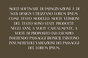 Birgine Modern Serif Font, a Serif Font by UICreative (Thumbnail 11 of 12)