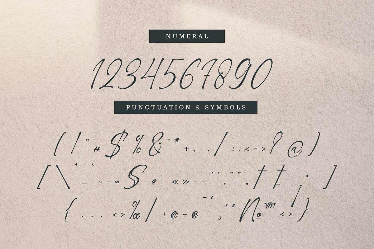 Barettiny Monteilo | Script Font, a Script Font by Denustudios (Photo 11 of 14)