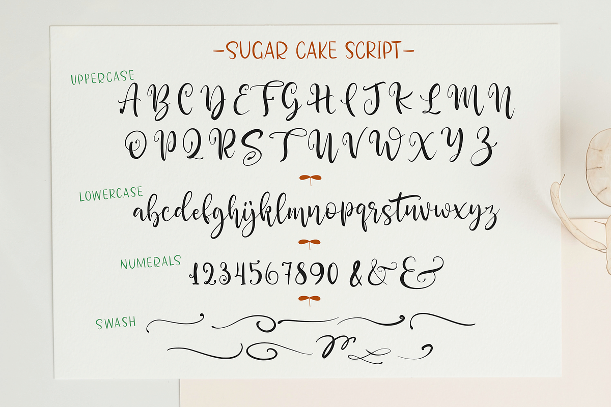 Sugar Cake, a Script Font by Larin Type Co. (Photo 12 of 15)