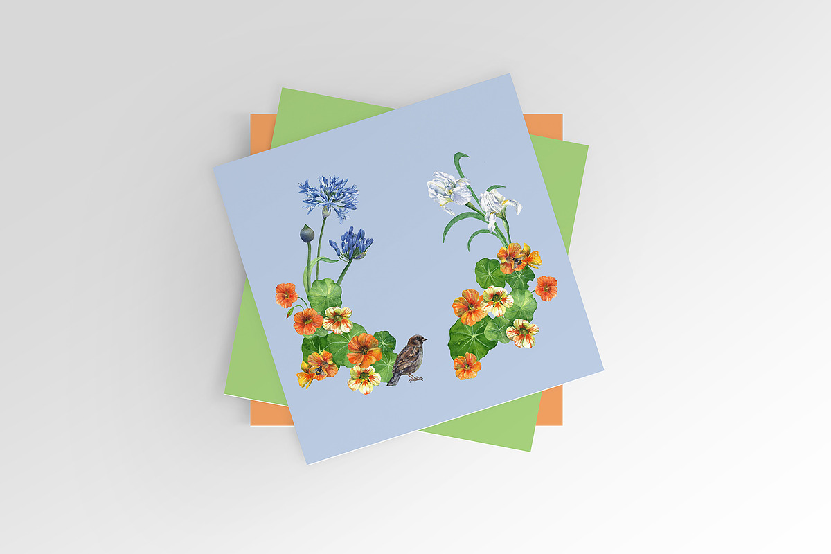 Watercolor Flowers Set, an Illustration by IrStepShop (Photo 3 of 3)