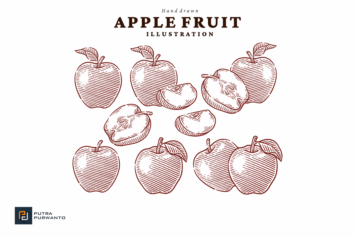 Vintage Apple Engraving Illustration, a Food Illustration by putra_purwanto (Photo 1 of 3)