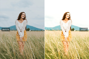 Rye Pro Lightroom Presets