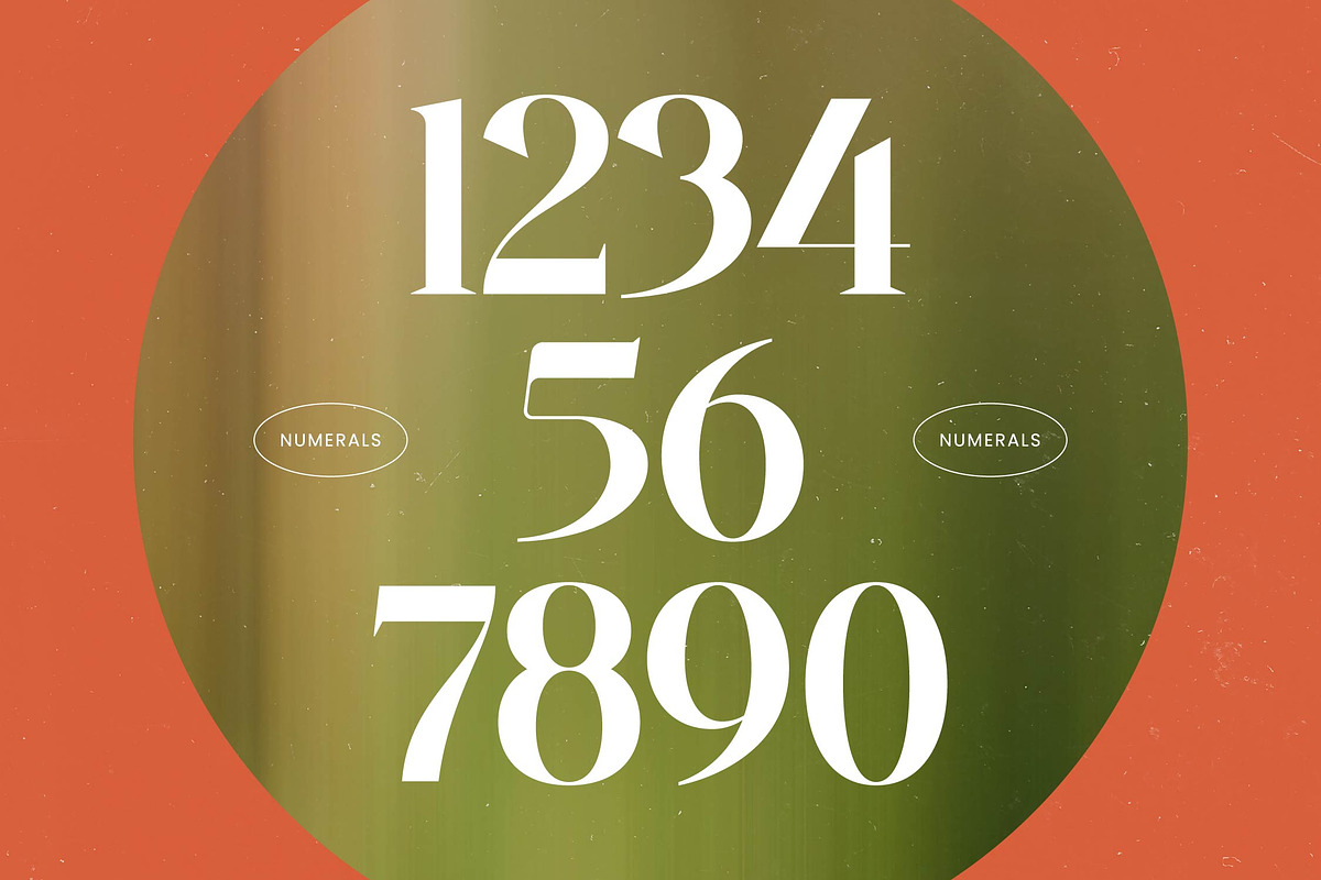 Single Robusta Modern Display Serif, a Serif Font by timelesstype.co (Photo 7 of 20)