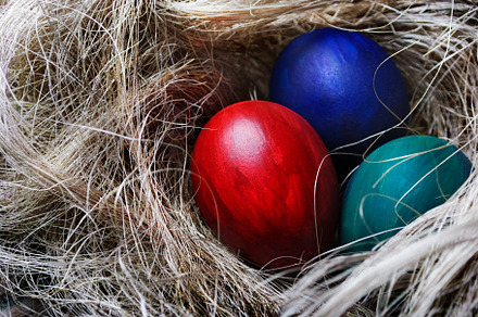 Hipster Egg Stock Picture preview 3