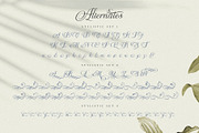 The Virnature Nature Script, a Script Font by alit design (Thumbnail 7 of 18)