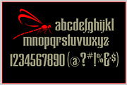 Dragonfly, a Font by Art And Sign Unlimited (Thumbnail 4 of 4)