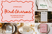 WHOLE SHOP FONT BUNDLE, a Serif Font by Calamar Studio (Thumbnail 10 of 33)