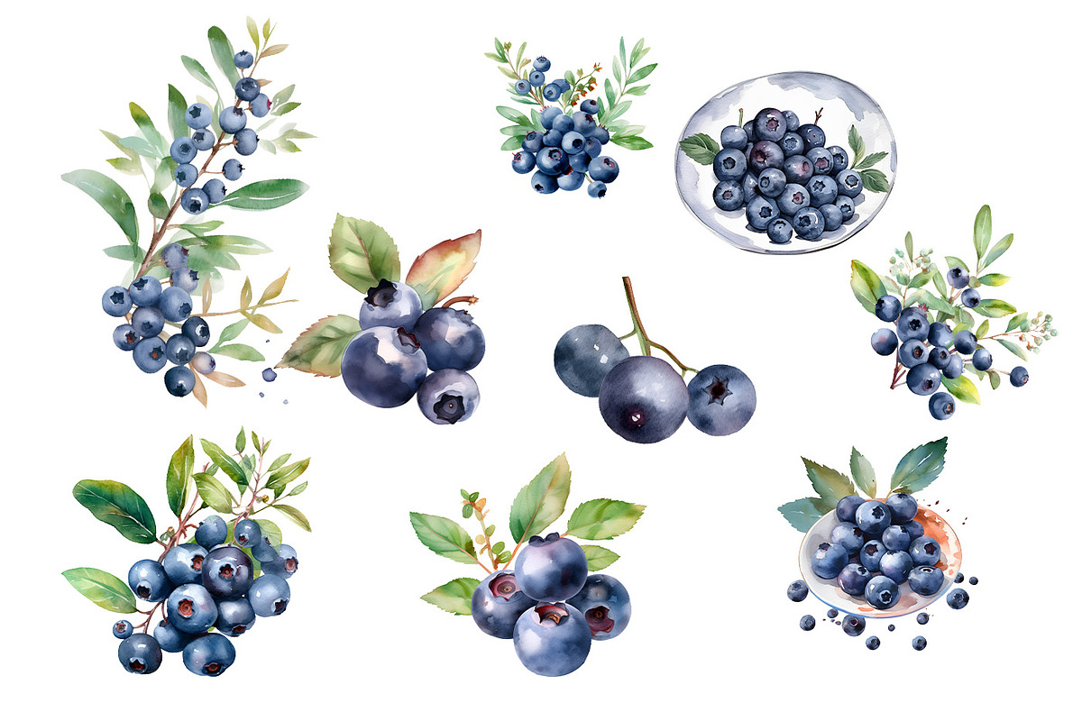 Watercolor Blueberries Clipart 15PNG, a Food Illustration by MuzaArtStudio (Photo 2 of 5)